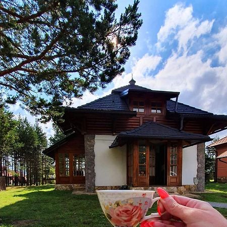 Vila Panic Zlatibor Exteriör bild