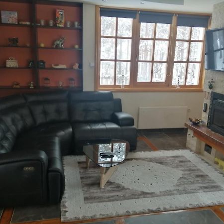 Vila Panic Zlatibor Exteriör bild