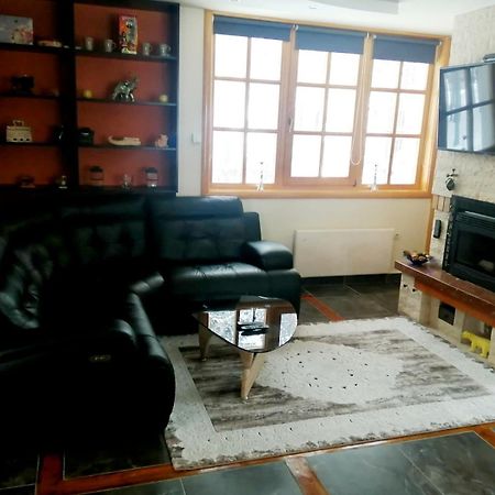 Vila Panic Zlatibor Exteriör bild