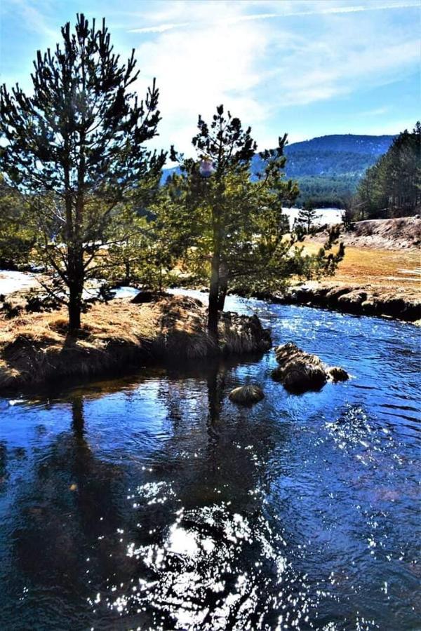 Vila Panic Zlatibor Exteriör bild