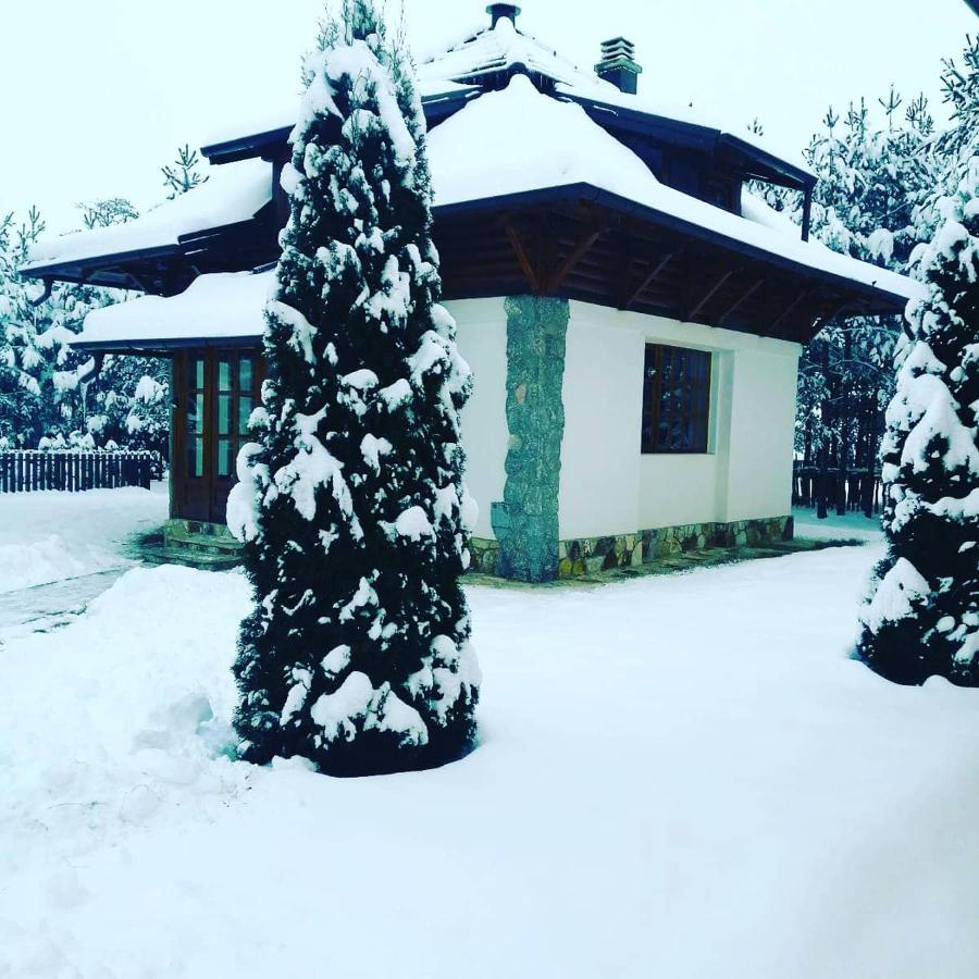 Vila Panic Zlatibor Exteriör bild