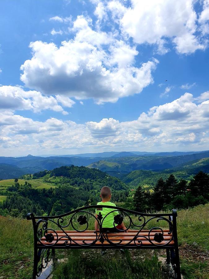 Vila Panic Zlatibor Exteriör bild