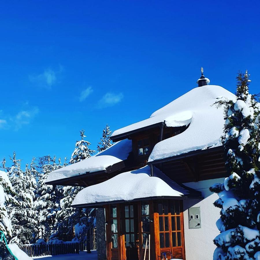 Vila Panic Zlatibor Exteriör bild